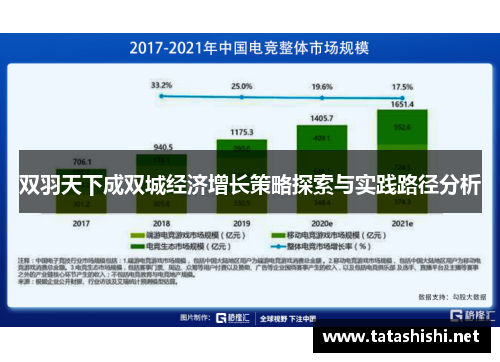 双羽天下成双城经济增长策略探索与实践路径分析