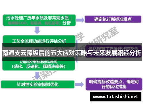 南通支云降级后的五大应对策略与未来发展路径分析