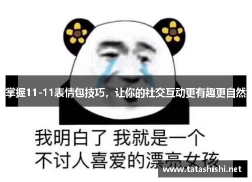 掌握11-11表情包技巧，让你的社交互动更有趣更自然