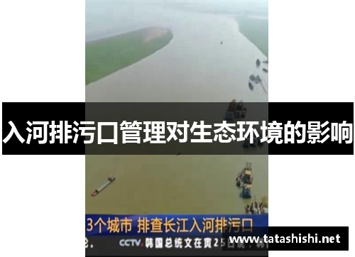 入河排污口管理对生态环境的影响